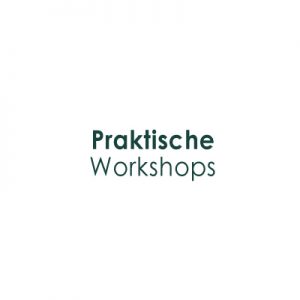 praktische workshops