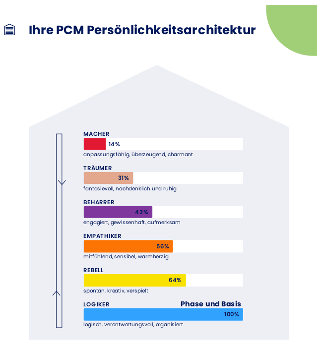 Robin Pfeifer PCM Persönlichkeitsstruktur